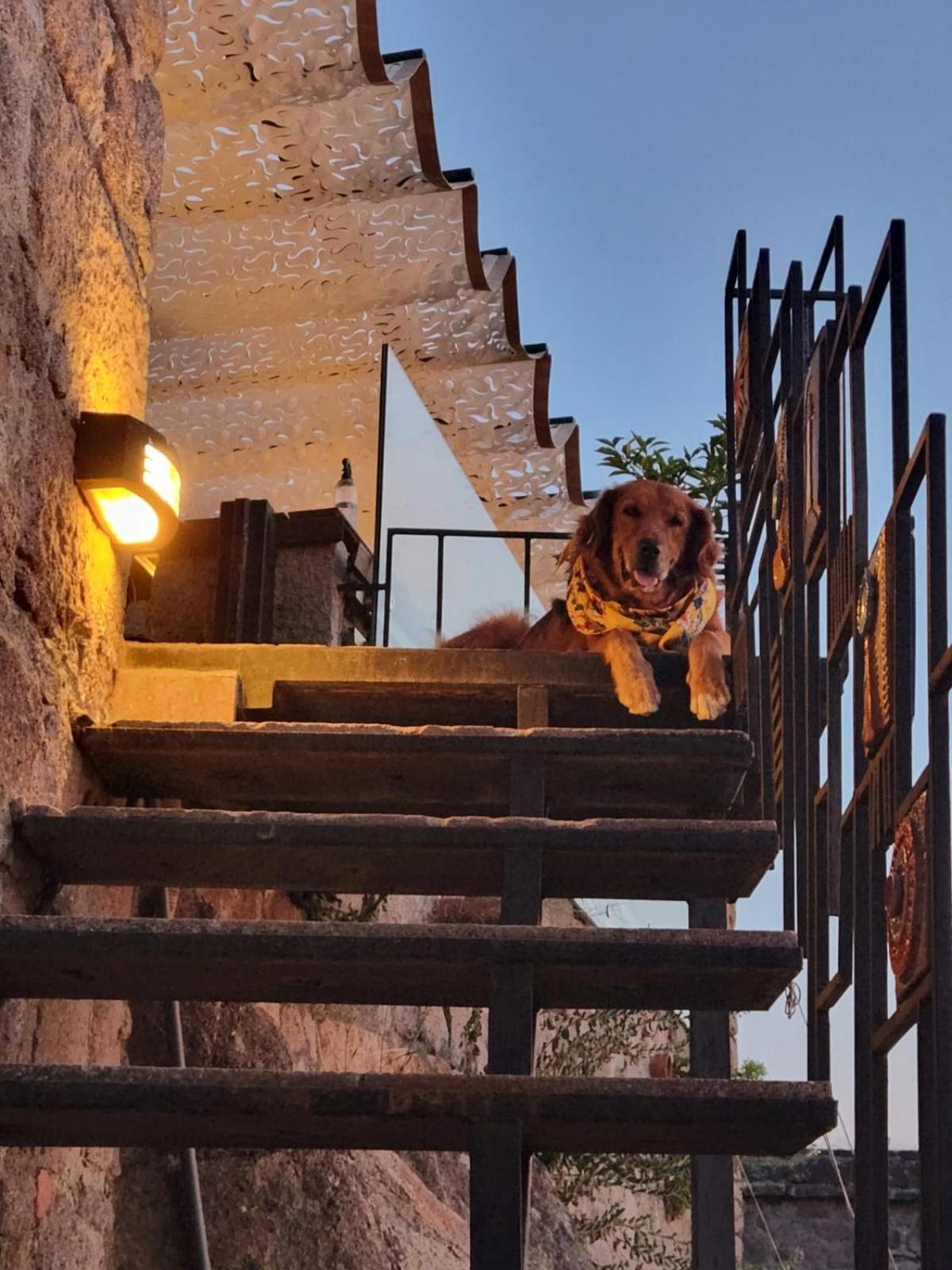 Assos Sunset Hotel Εξωτερικό φωτογραφία